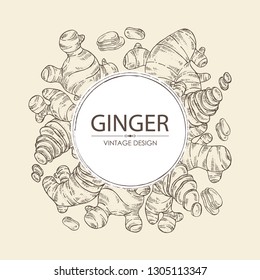 Background with ginger: root and pice of ginger, Vector hand drawn illustration