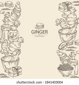 Background with ginger: ginger root and slise ginger. Oil, soap and bath salt . Cosmetics and medical plant. Vector hand drawn illustration