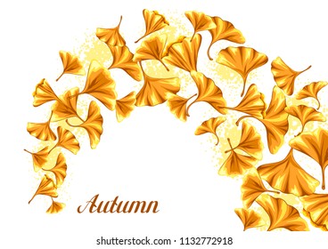 Background with ginkgo biloba leaves. Natural illustration of autumn leaves.