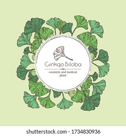 Background with ginkgo: leaves and selling. Cosmetics and medical plant. Vector hand drawn illustration