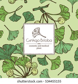 Background with ginkgo leaves and selling. Cosmetics and medical plant. hand drawn.