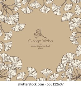 Background with ginkgo leaves and selling. Cosmetics and medical plant. hand drawn