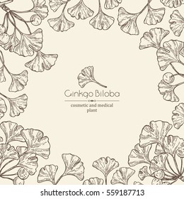 Background with ginkgo leaves and selling. Cosmetics and medical plant. hand drawn.