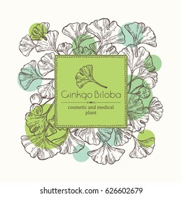 Background with ginkgo leaves and selling. Cosmetics and medical plant. hand drawn.