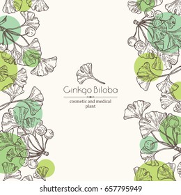 Background with ginkgo: leaves and selling. Cosmetics and medical plant. Vector hand drawn illustration.