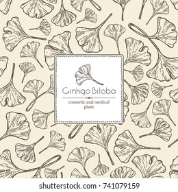 Background with ginkgo: leaves and selling. Cosmetics and medical plant. Vector hand drawn illustration