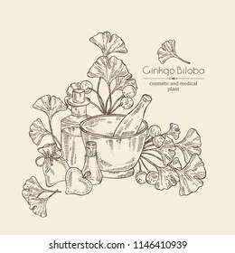 Background with ginkgo: leaves and selling, oil . Cosmetic and medical plant. Vector hand drawn illustration. 
