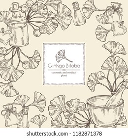 Background with ginkgo: leaves and selling, oil . Cosmetic and medical plant. Vector hand drawn illustration. 