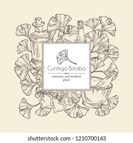 Background with ginkgo: leaves and selling, oil . Cosmetic and medical plant. Vector hand drawn illustration. 