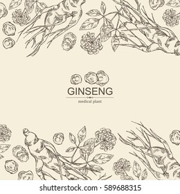 Background with ginseng. Medical plant. hand drawn.