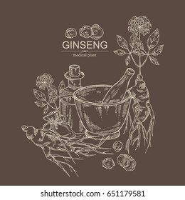 Background with ginseng: ginseng root, plant, bottle, tincture, mortar and pestle. Medical plant. hand drawn.