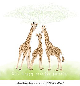 Background with giraffe family  on watercolor background.. Our happy giraffe family.  Good for greeting card for birthday,  invitation or banner of safari, zoo or family party. Vector Illustration.