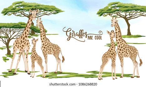 Background with giraffe family in savanna.  Good for greeting card for birthday,Â  invitation or banner of safari, zoo or family party. Vector Illustration.