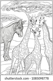 Background with giraffes and zebras.  Outline hand drawing. Good for coloring page for theÂ adult coloring book.. Vector Illustration.