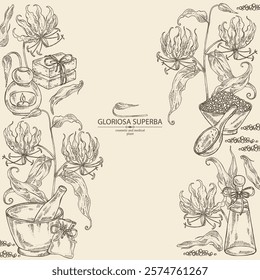 Background with  gloriosa superba: gloriosa superba plant, leaves and gloriosa superba flowers. Oil, soap and bath salt . Cosmetics and medical plant. Vector hand drawn illustration