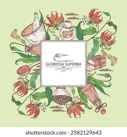 Background with  gloriosa superba: gloriosa superba plant, leaves and gloriosa superba flowers. Oil, soap and bath salt . Cosmetics and medical plant. Vector hand drawn illustration