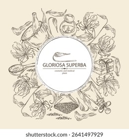 Background with  gloriosa superba: gloriosa superba plant, leaves and gloriosa superba flowers. Oil, soap and bath salt . Cosmetics and medical plant. Vector hand drawn illustration