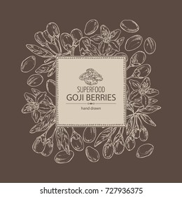 Background with goji: plant, flower and goji berries. Superfood. Vector hand drawn illustration.