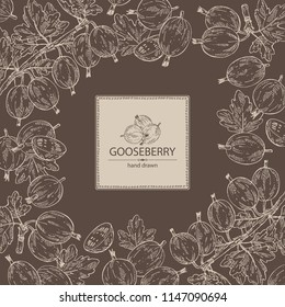 Background with gooseberry: branch of gooseberry, berries and leaves. Vector hand drawn illustration. 