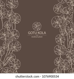 Background with gotu kola: branch of gotu kola. Centella asian. Cosmetic and medical plant. Vector hand drawn illustration.