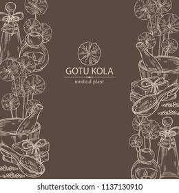 Background with gotu kola: branch of gotu kola. Centella asian. Oil, soap and bath salt . Cosmetics and medical plant. Vector hand drawn illustration