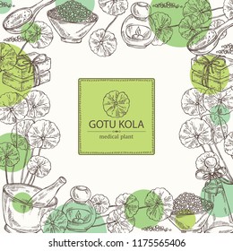 Background with gotu kola: branch of gotu kola. Centella asian. Oil, soap and bath salt . Cosmetics and medical plant. Vector hand drawn illustration 
