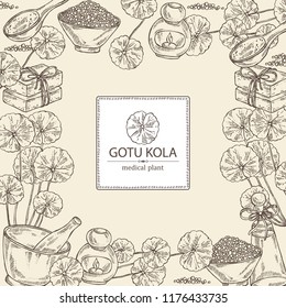 Background with gotu kola: branch of gotu kola. Centella asian. Oil, soap and bath salt . Cosmetics and medical plant. Vector hand drawn illustration 