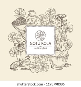 Background with gotu kola: branch of gotu kola. Centella asian. Oil, soap and bath salt . Cosmetics and medical plant. Vector hand drawn illustration 