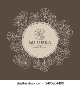 Background with gotu kola: branch of gotu kola. Centella asian. Cosmetic and medical plant. Vector hand drawn illustration.