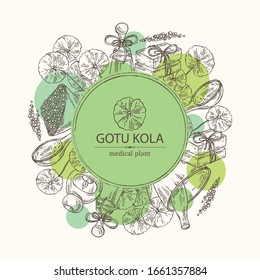 Antecedentes con gotu kola: rama de gotu kola. Centella asiática. Aceite, jabón y sal de baño. Cosméticos y plantas médicas. Ilustración dibujada a mano por el vector 