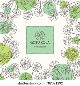 Background with gotu kola: branch of gotu kola. Centella asian. Cosmetic and medical plant. Vector hand drawn illustration.