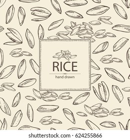 Background with grain of rice. hand drawn