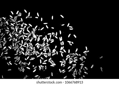 Background with grain of rice. Handmade illustration of rice organic texture background. Vector.
