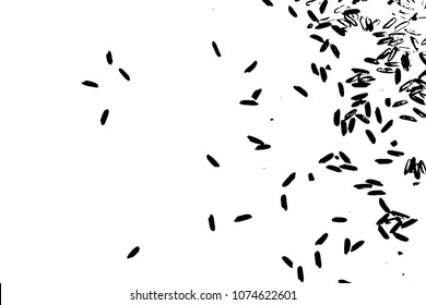 Background with grain of rice. Handmade illustration of rice organic texture background. Vector.