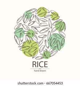 Background With Grain Of Rice. Vector Hand Drawn Illustration