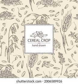 Background with grains: oats, rice, buckwheat groats and wheat grain. Vector hand drawn illustration