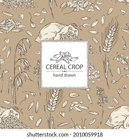 Background with grains: oats, rice, buckwheat groats and wheat grain. Vector hand drawn illustration