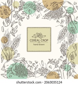 Background with grains: oats, rice, buckwheat groats and wheat grain. Vector hand drawn illustration