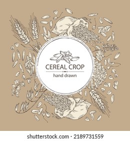 Background with grains: oats, rice, buckwheat groats and wheat grain. Vector hand drawn illustration