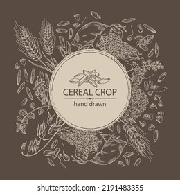 Background with grains: oats, rice, buckwheat groats and wheat grain. Vector hand drawn illustration