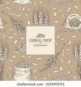 Background with grains: oats, rice, rye grain and wheat grain. Vector hand drawn illustration