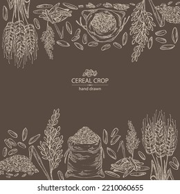 Background with grains: oats, rice, rye grain and wheat grain. Vector hand drawn illustration
