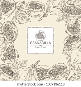 Background with granadilla: fruit, granadilla slice and leaves. Vector hand drawn illustration.