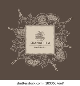 Fondo con granadilla: frutas, rodajas de granadilla y hojas. Ilustración dibujada a mano por vectores.