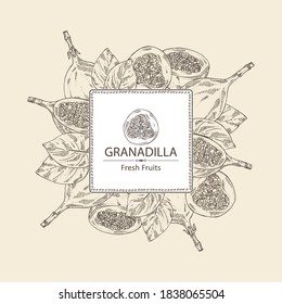 Background with granadilla: fruit, granadilla slice and leaves. Vector hand drawn illustration.
