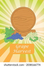 background for grape harvest - wooden barrel with grape - vector