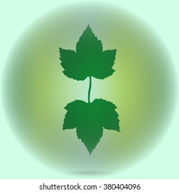 background with grape leaves. Vector illustration.