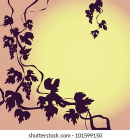 Background with grape- vine. Vector illustration