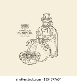Background with grapefruit and bottle of grapefruit essential oil. Cosmetic, perfumery and medical plant. Vector hand drawn 