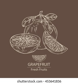 Background with grapefruit . hand drawn